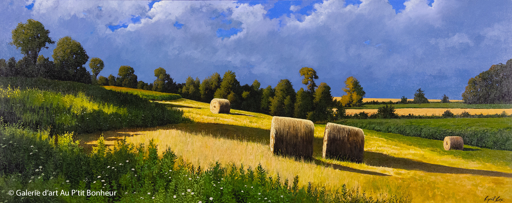 Cyril Cox | Late Summer Hay