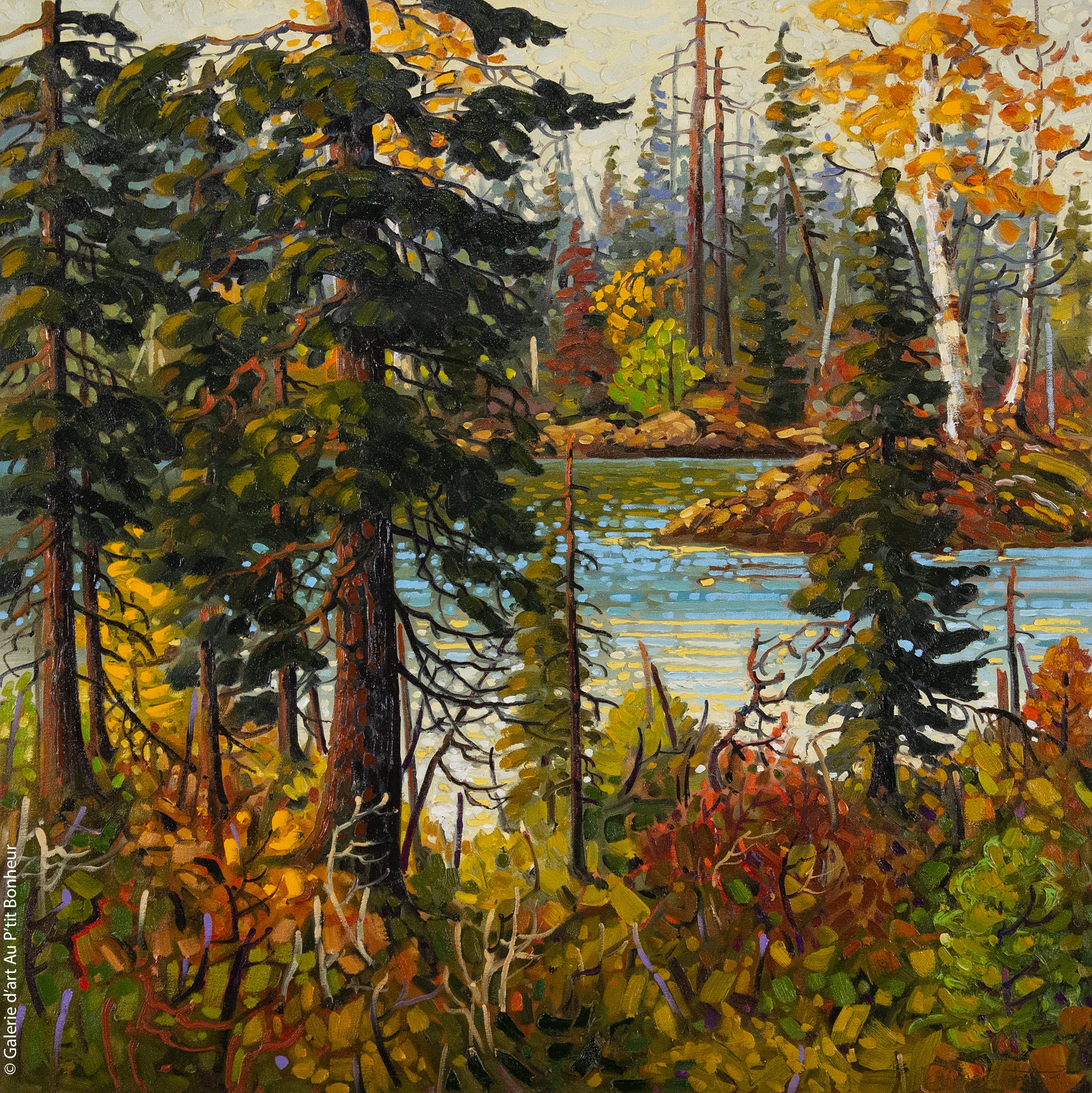 Rod Charlesworth | Autumn Colours, Spring Lake