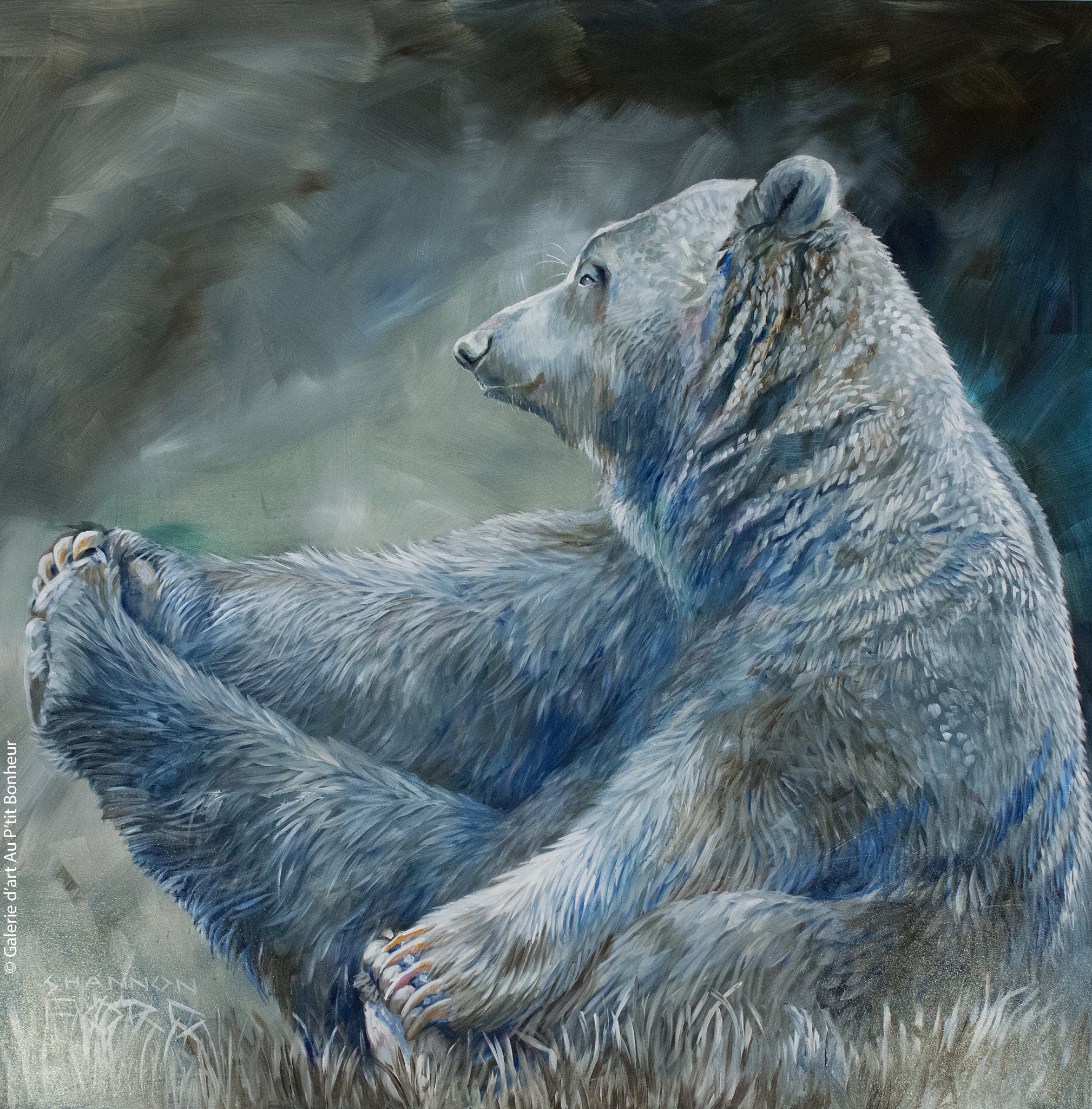 Shannon Ford | Pensive Grizzly